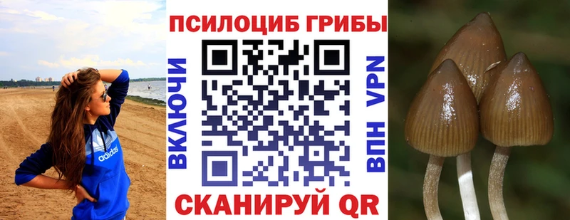 Псилоцибиновые грибы ЛСД  Баймак 